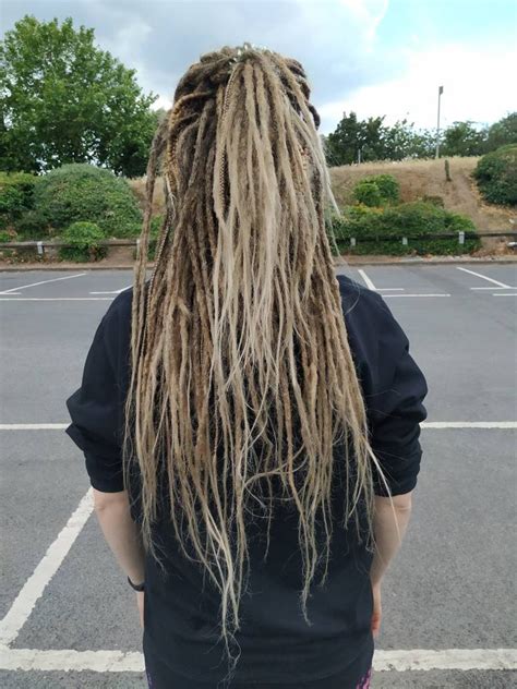 dreadlocks ombre|honey brown dreadlocks.